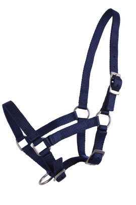 QHP Halster Veulen Blauw