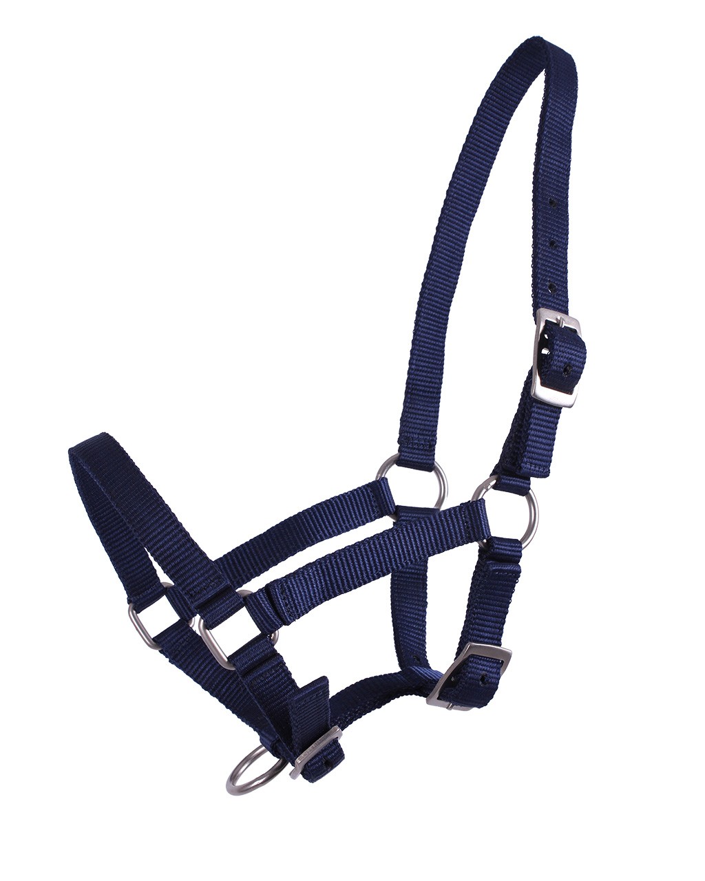 QHP Halster Veulen Blauw QHP Halster Veulen Blauw