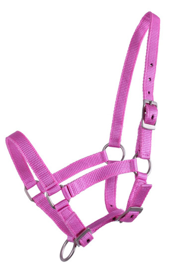 QHP Halster Veulen Roze QHP Halster Veulen Roze