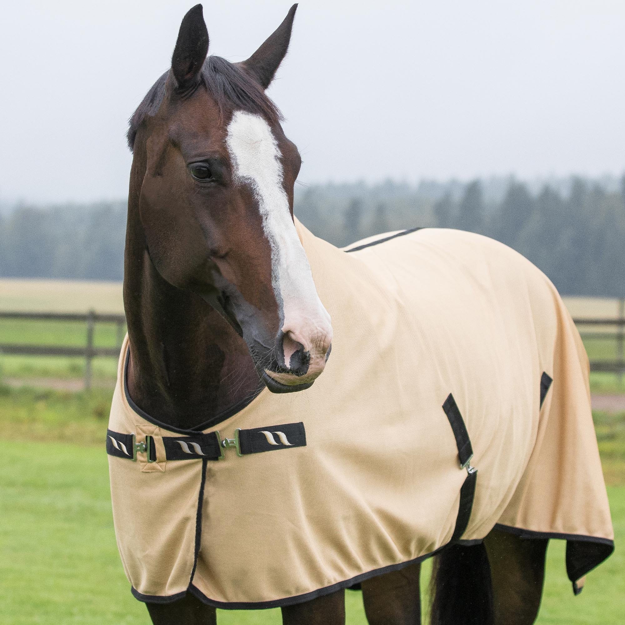 Ridershouse Back on Track de gouden Maasdeken LEON, de perfect therapie deken Ridershouse Back on Track de gouden Maasdeken LEON, de perfect therapie deken