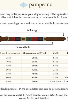 Pampeano Leather Dog Collar Petalo