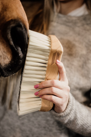 Body Brush Middle Soft Grooming Deluxe Kentucky Horsewear Body Brush Middle Soft Grooming Deluxe Kentucky Horsewear