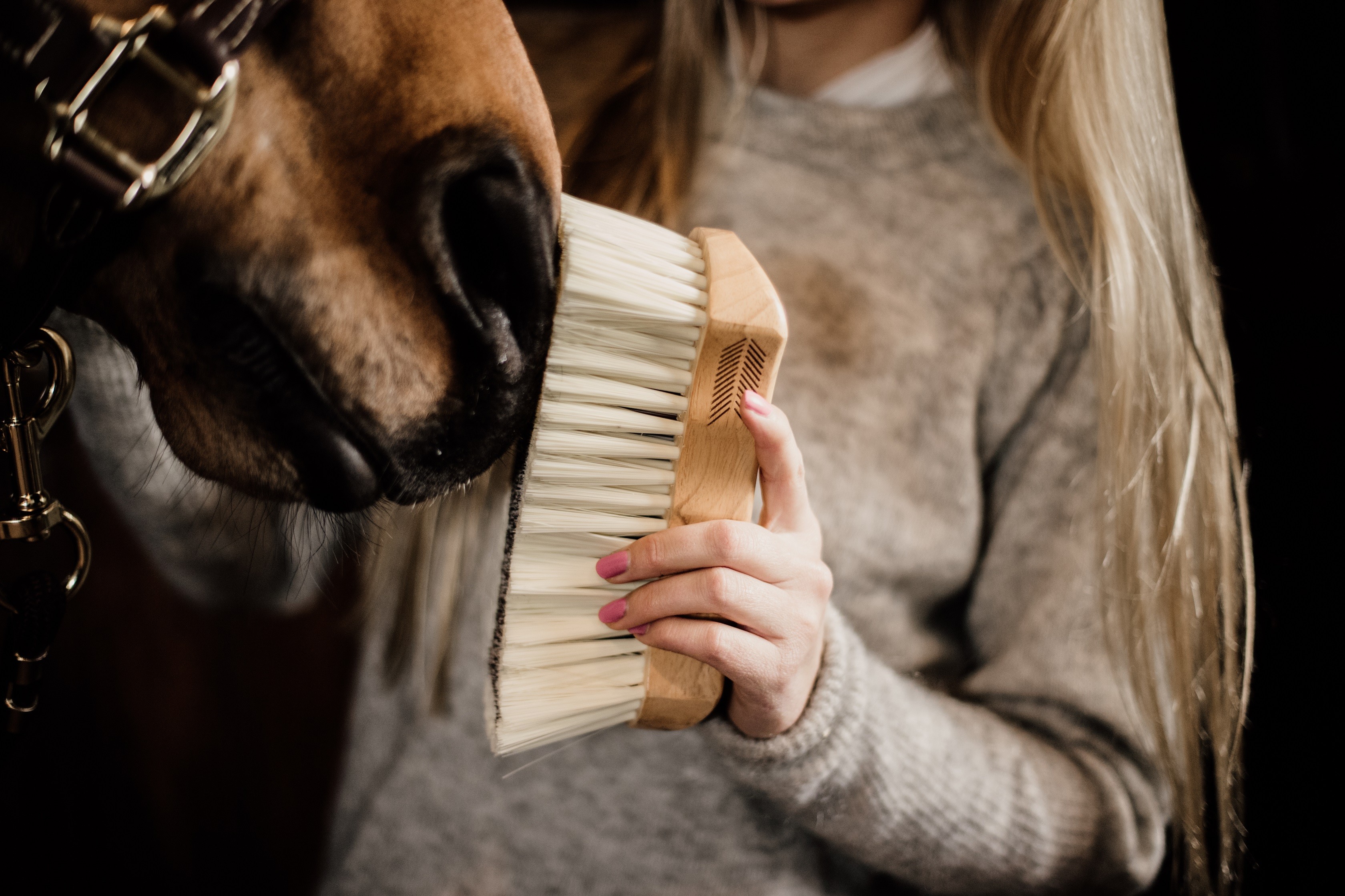 Body Brush Middle Soft Grooming Deluxe Kentucky Horsewear Body Brush Middle Soft Grooming Deluxe Kentucky Horsewear