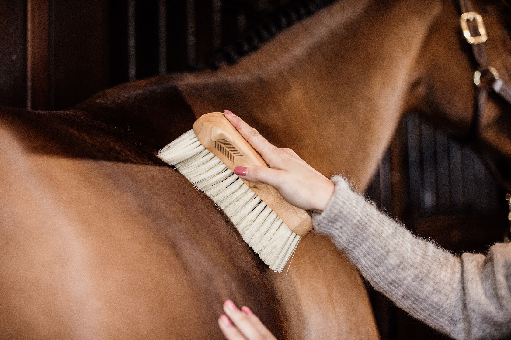 Body Brush Middle Soft Grooming Deluxe Kentucky Horsewear Body Brush Middle Soft Grooming Deluxe Kentucky Horsewear