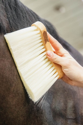 Middle Brush Long Natural Grooming Deluxe Kentucky Horsewear Middle Brush Long Natural Grooming Deluxe Kentucky Horsewear