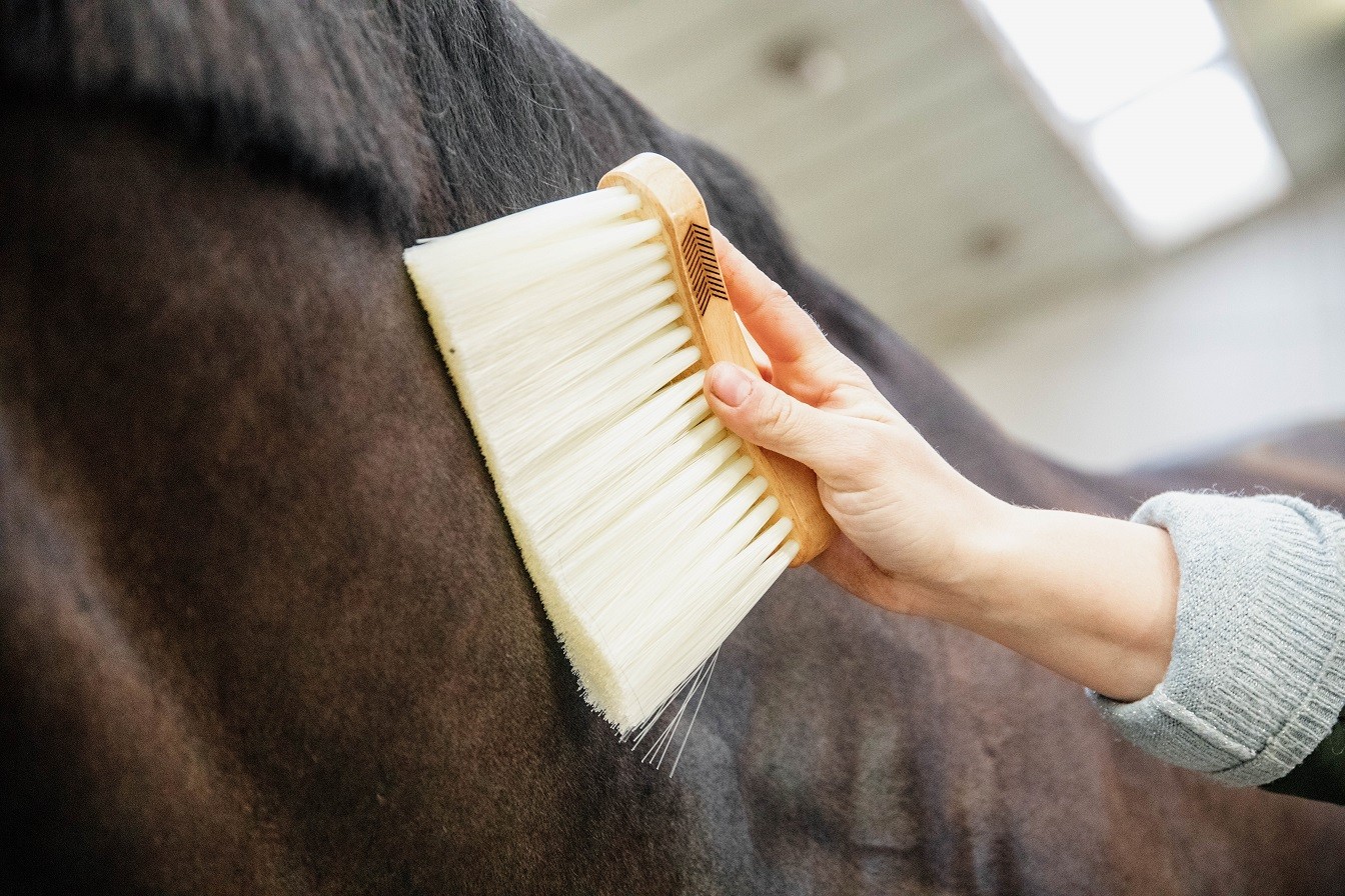 Middle Brush Long Natural Grooming Deluxe Kentucky Horsewear Middle Brush Long Natural Grooming Deluxe Kentucky Horsewear