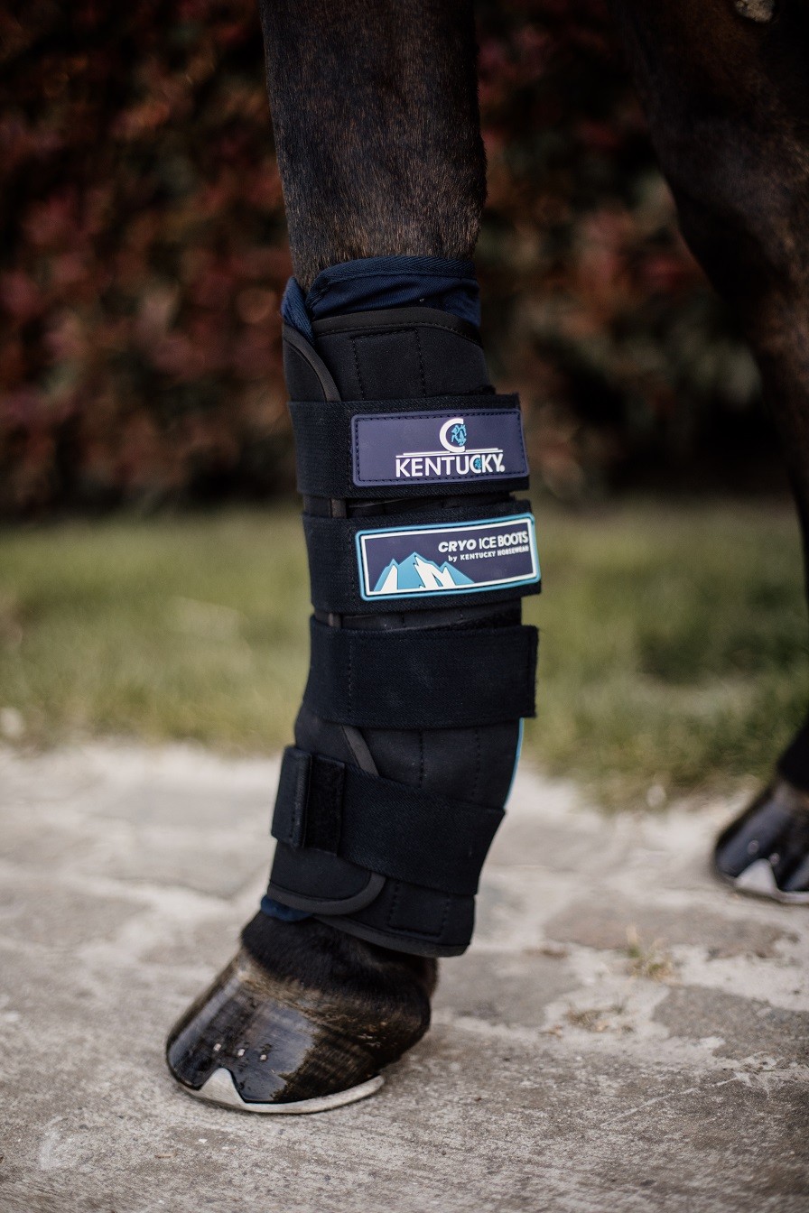Cryo Ice Boots Set Of 2 Kentucky Horsewear