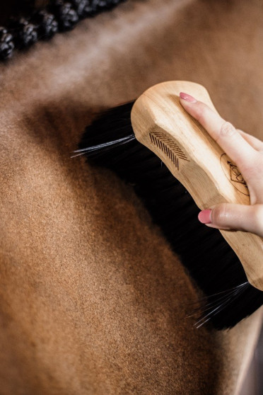 Body Brush Middle Hard Grooming Deluxe Kentucky Horsewear Body Brush Middle Hard Grooming Deluxe Kentucky Horsewear