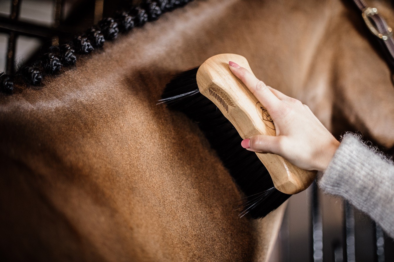 Body Brush Middle Hard Grooming Deluxe Kentucky Horsewear Body Brush Middle Hard Grooming Deluxe Kentucky Horsewear