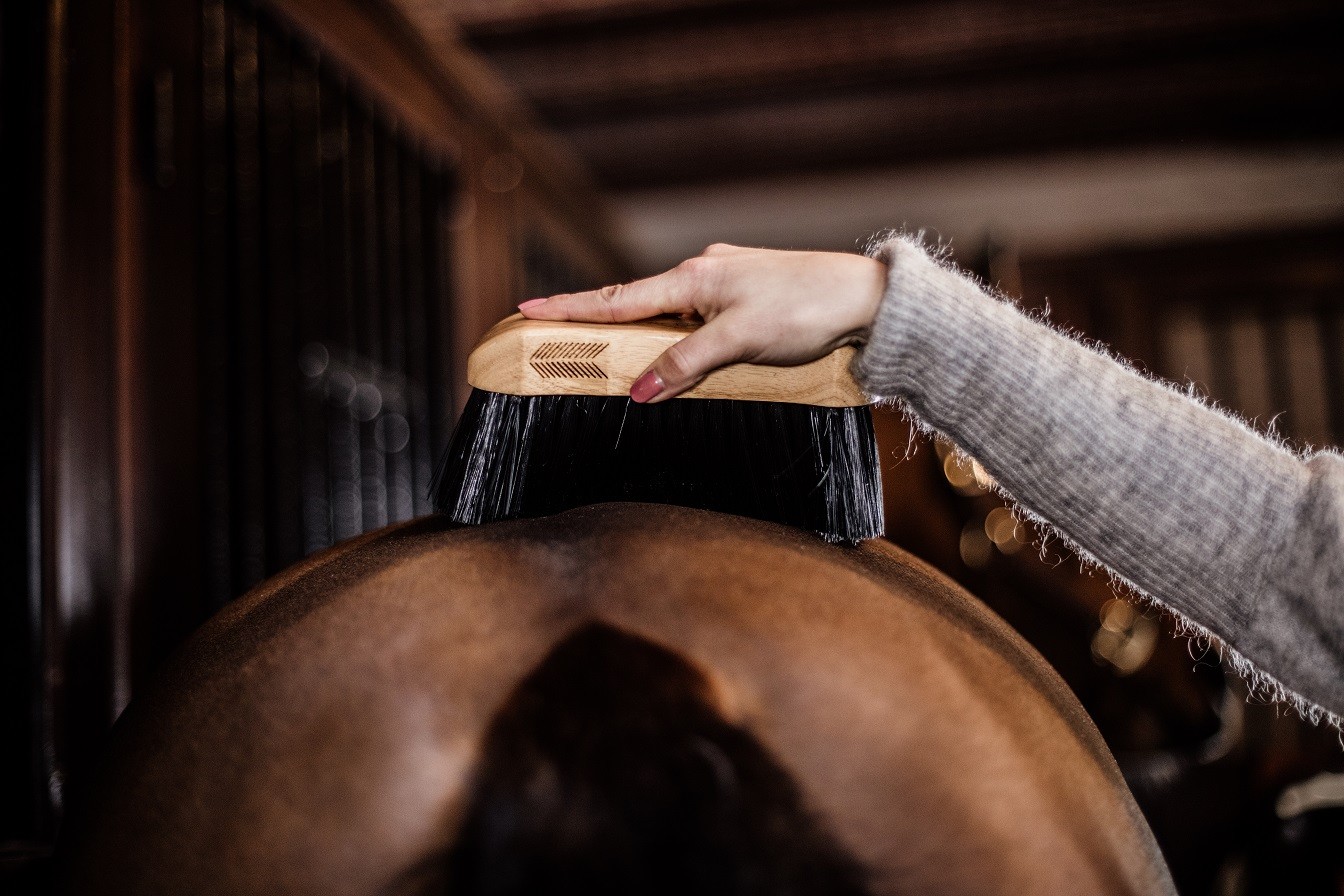Body Brush Middle Hard Grooming Deluxe Kentucky Horsewear Body Brush Middle Hard Grooming Deluxe Kentucky Horsewear