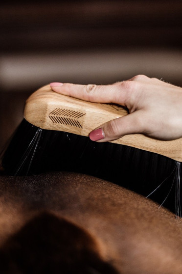 Body Brush Middle Hard Grooming Deluxe Kentucky Horsewear Body Brush Middle Hard Grooming Deluxe Kentucky Horsewear
