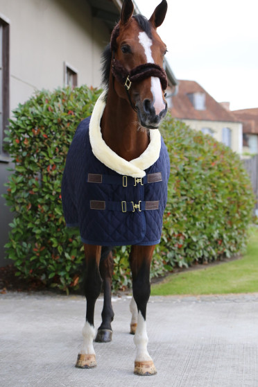 Kentucky Horsewear Show Deken Kentucky Horsewear Show Deken