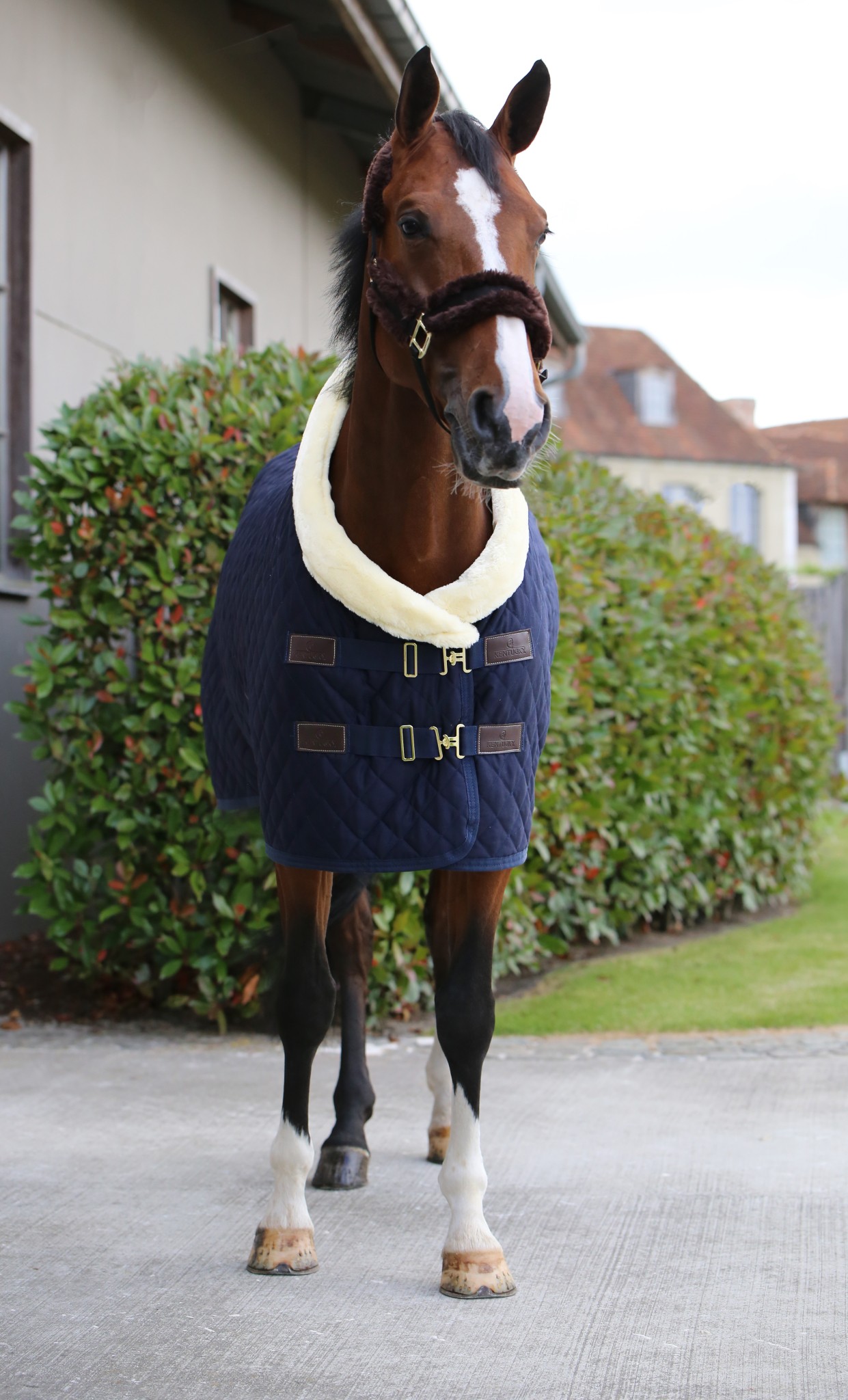 Kentucky Horsewear Show Deken Kentucky Horsewear Show Deken