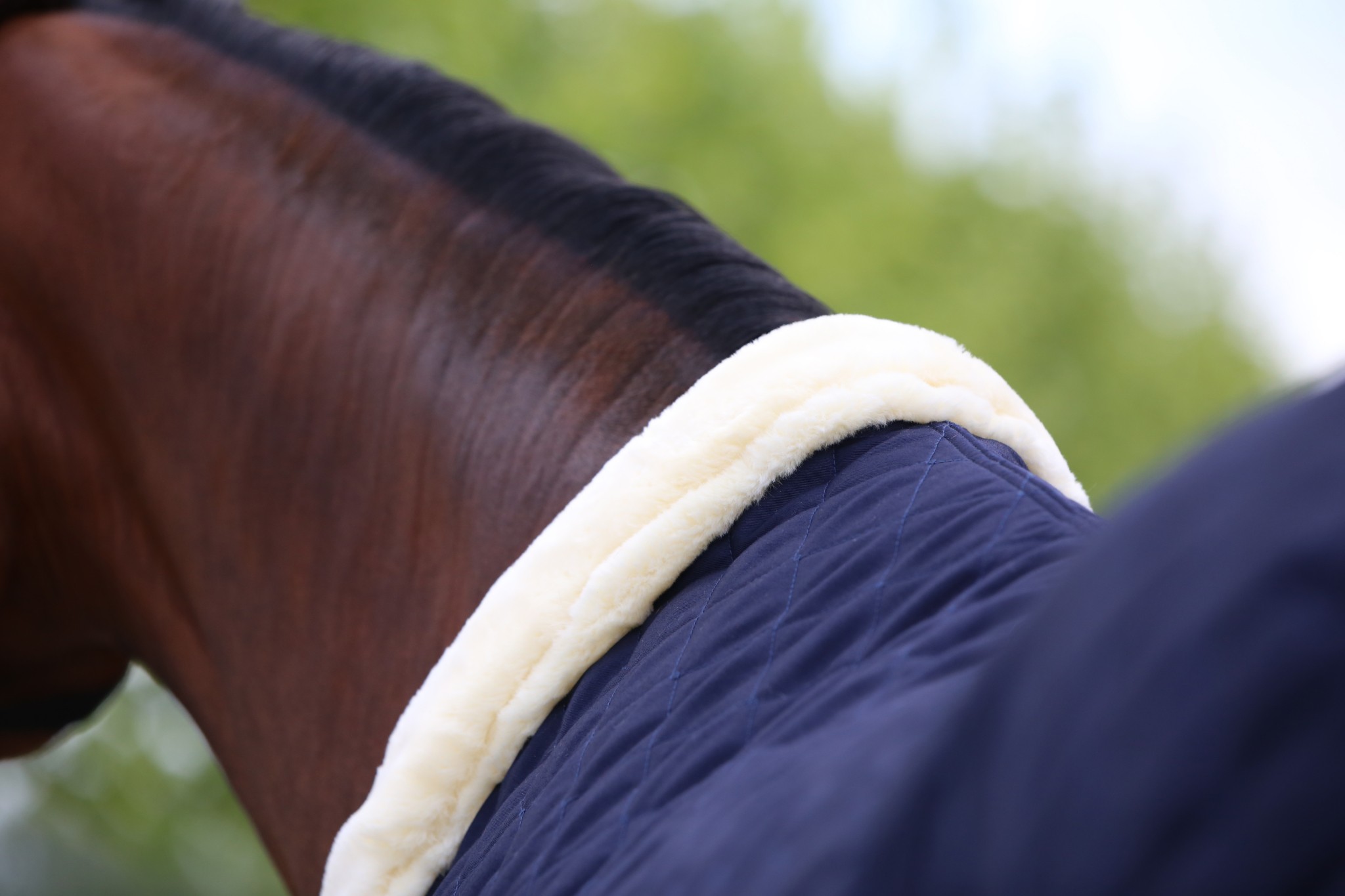 Kentucky Horsewear Show Deken Kentucky Horsewear Show Deken