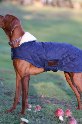 Kentucky Horsewear Hondendeken Kentucky Horsewear Hondendeken