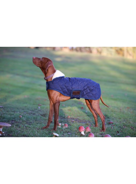 Kentucky Horsewear Dog Coat