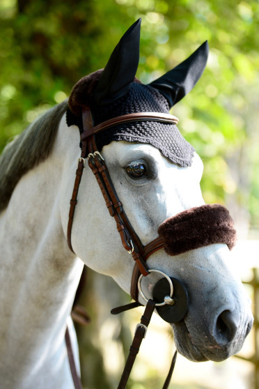 Kentucky Horsewear Oornetje Kentucky Horsewear Oornetje
