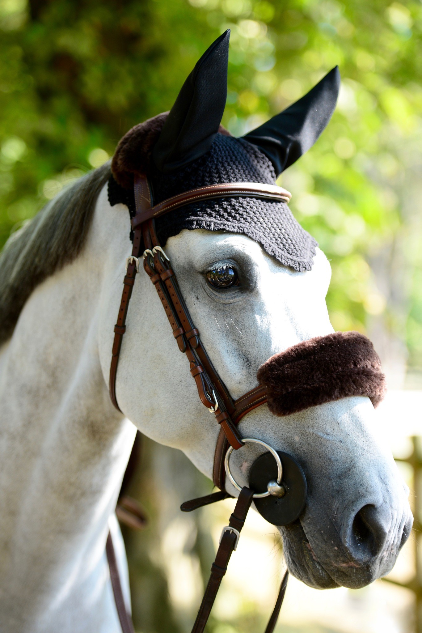 Kentucky Horsewear Oornetje Kentucky Horsewear Oornetje