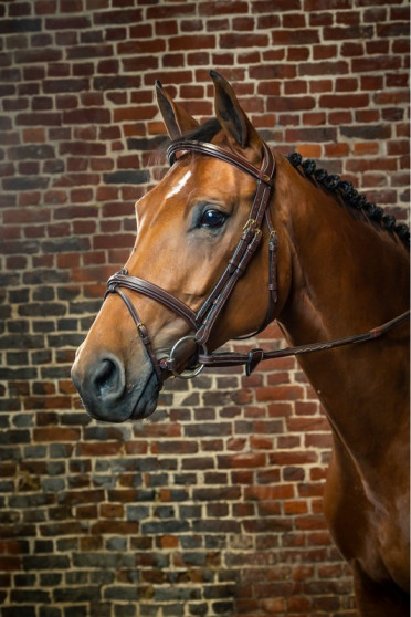 Dyon Flash Noseband Bridle 'D Collection' Dyon Flash Noseband Bridle 'D Collection'