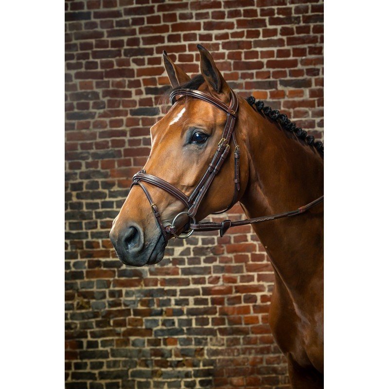 Dyon Flash Noseband Bridle 'D Collection' Dyon Flash Noseband Bridle 'D Collection'