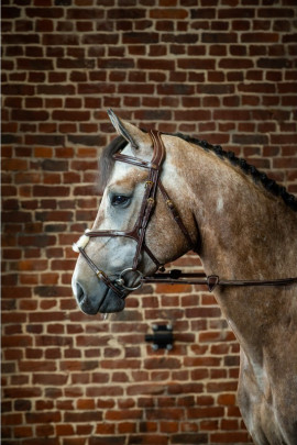 Dyon Figure 8 Noseband Bridle 'D Collection' Mexicaanse neusriem met Bontje Dyon Figure 8 Noseband Bridle 'D Collection' Mexicaanse neusriem met Bontje