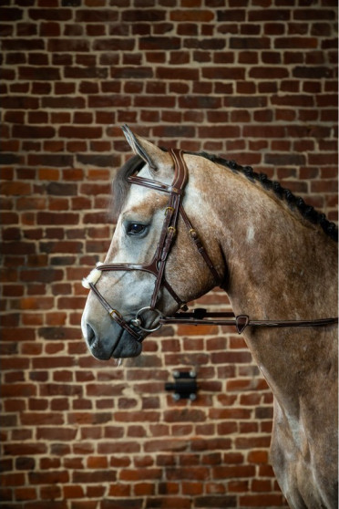Dyon Figure 8 Noseband Bridle 'D Collection' Mexicaanse neusriem met Bontje Dyon Figure 8 Noseband Bridle 'D Collection' Mexicaanse neusriem met Bontje