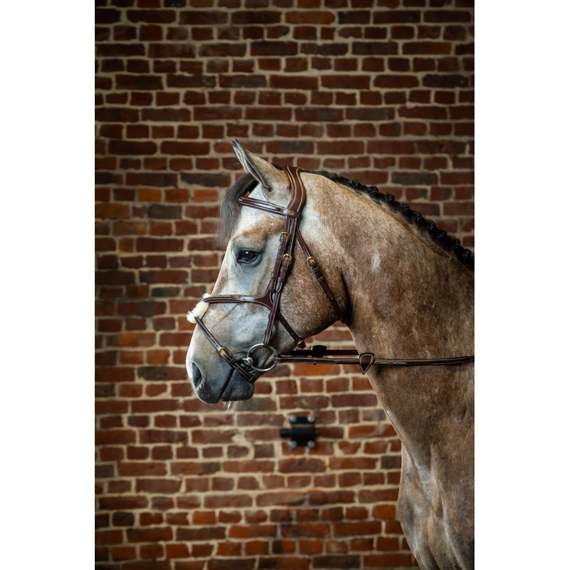 Dyon Figure 8 Noseband Bridle 'D Collection' Mexicaanse neusriem met Bontje Dyon Figure 8 Noseband Bridle 'D Collection' Mexicaanse neusriem met Bontje