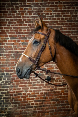 Dyon Rope Noseband Bridle 'D Collection' Dyon Rope Noseband Bridle 'D Collection'