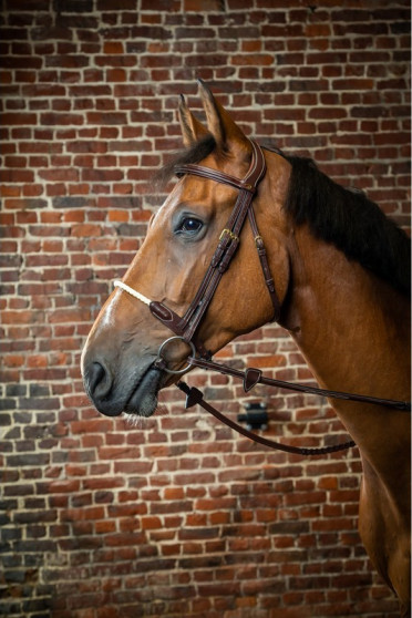 Dyon Rope Noseband Bridle 'D Collection' Dyon Rope Noseband Bridle 'D Collection'