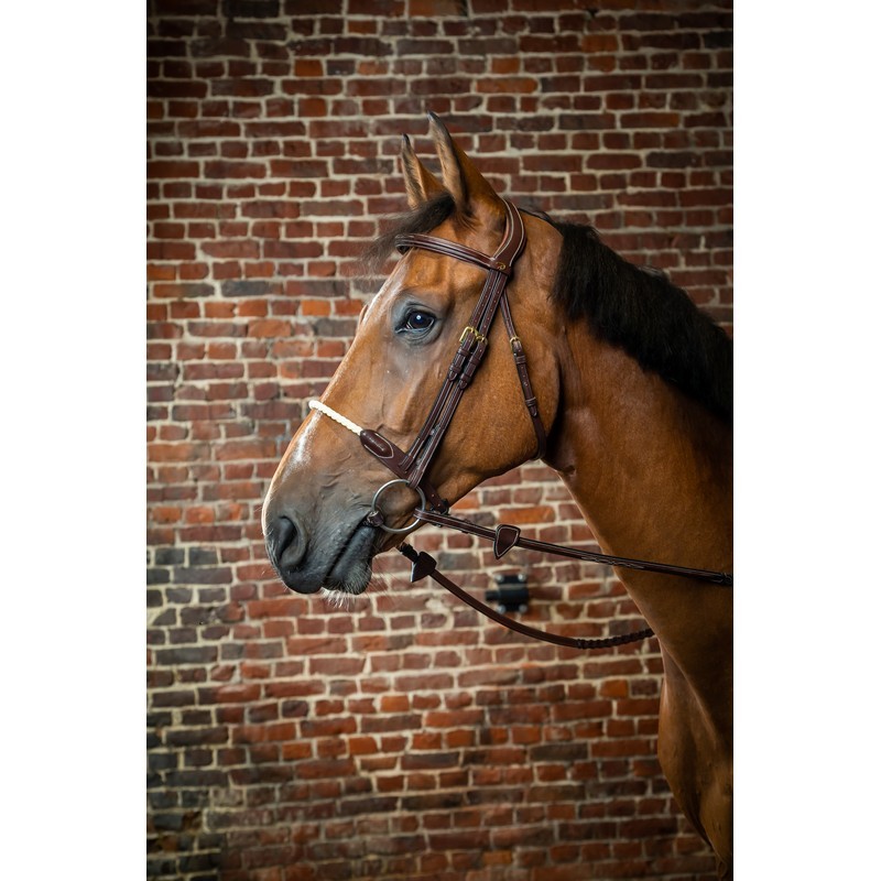 Dyon Rope Noseband Bridle 'D Collection' Dyon Rope Noseband Bridle 'D Collection'