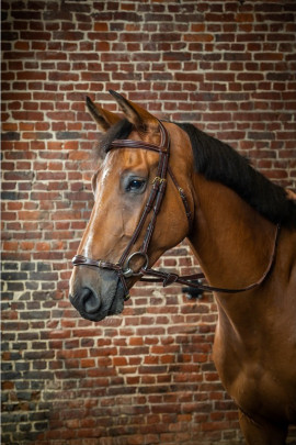 Dyon Adjustable Drop Noseband Bridle 'D Collection' Dyon Adjustable Drop Noseband Bridle 'D Collection'