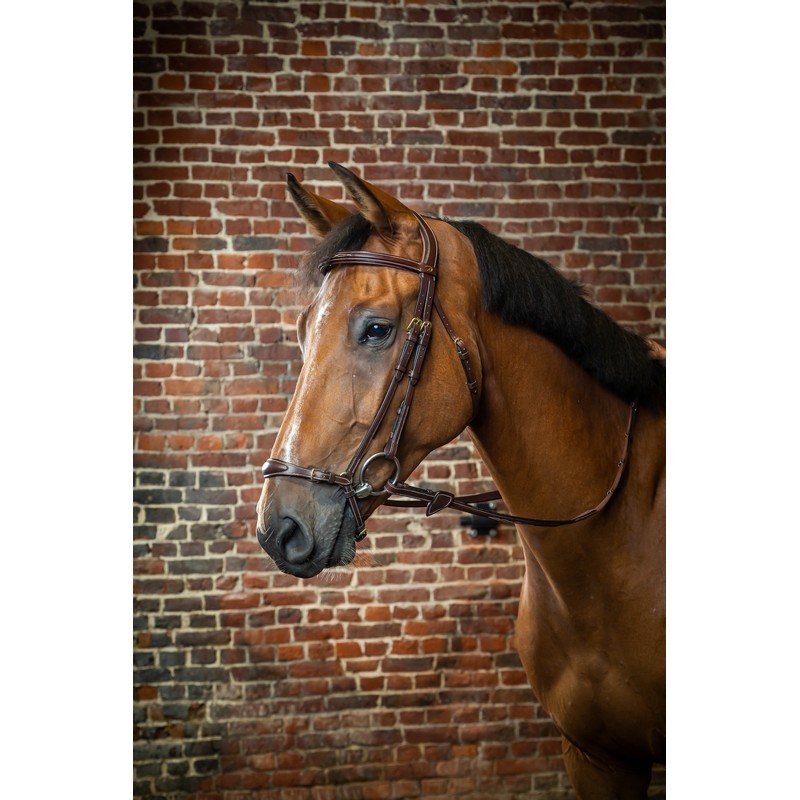 Dyon Adjustable Drop Noseband Bridle 'D Collection' Dyon Adjustable Drop Noseband Bridle 'D Collection'