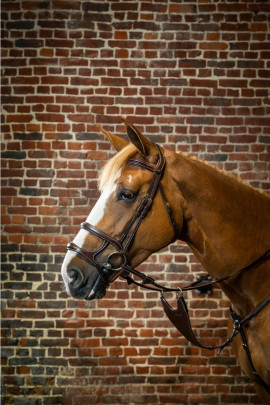 Dyon Double Noseband Bridle 'D Collection' Dyon Double Noseband Bridle 'D Collection'