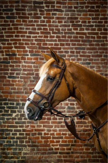 Dyon Double Noseband Bridle 'D Collection' Dyon Double Noseband Bridle 'D Collection'