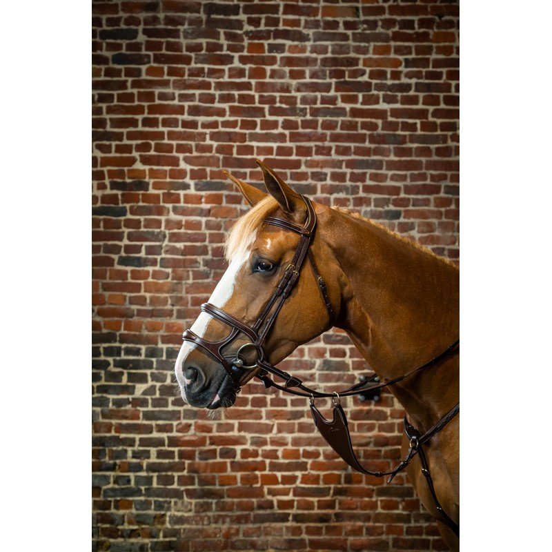 Dyon Double Noseband Bridle 'D Collection' Dyon Double Noseband Bridle 'D Collection'