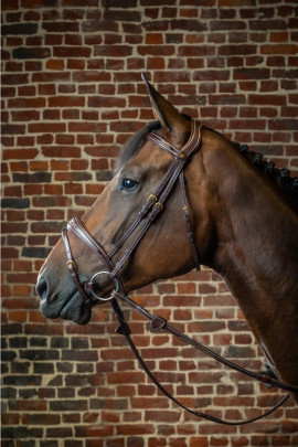 Dyon Anatomic Flash Noseband Bridle 'D Collection' Dyon Anatomic Flash Noseband Bridle 'D Collection'