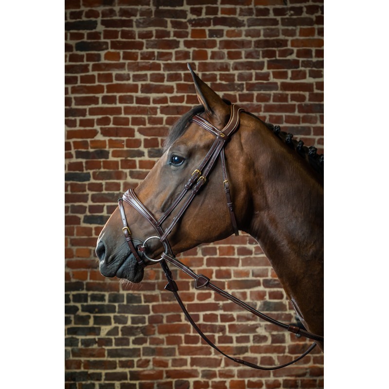 Dyon Anatomic Flash Noseband Bridle 'D Collection' Dyon Anatomic Flash Noseband Bridle 'D Collection'