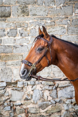 Dyon Hackamore Bridle 'D Collection' Dyon Hackamore Bridle 'D Collection'