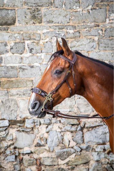Dyon Hackamore Bridle 'D Collection' Dyon Hackamore Bridle 'D Collection'