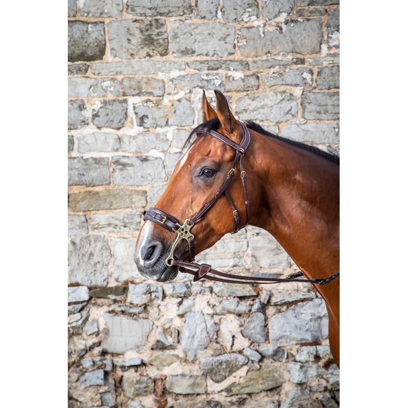 Dyon Hackamore Bridle 'D Collection' Dyon Hackamore Bridle 'D Collection'