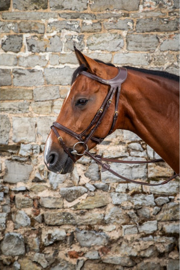 Dyon Difference Bridle 'D Collection' Dyon Difference Bridle 'D Collection'