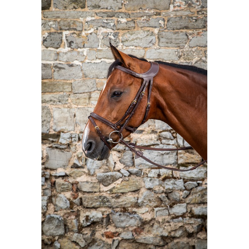 Dyon Difference Bridle 'D Collection' Dyon Difference Bridle 'D Collection'