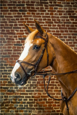 Dyon X Fit Bridle 'D Collection' Dy'on leer: gemaakt van het beste Catalaanse leer gelooid in Iqualada, Spanje met luxe afwerkin Dyon X Fit Bridle 'D Collection' Dy'on leer: gemaakt van het beste Catalaanse leer gelooid in Iqualada, Spanje met luxe afwerkin