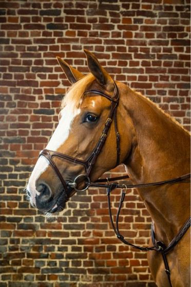 Dyon X Fit Bridle 'D Collection' Dy'on leer: gemaakt van het beste Catalaanse leer gelooid in Iqualada, Spanje met luxe afwerkin Dyon X Fit Bridle 'D Collection' Dy'on leer: gemaakt van het beste Catalaanse leer gelooid in Iqualada, Spanje met luxe afwerkin