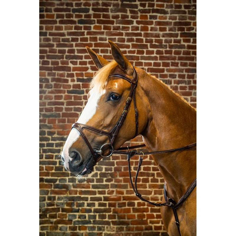 Dyon X Fit Bridle 'D Collection' Dy'on leer: gemaakt van het beste Catalaanse leer gelooid in Iqualada, Spanje met luxe afwerkin Dyon X Fit Bridle 'D Collection' Dy'on leer: gemaakt van het beste Catalaanse leer gelooid in Iqualada, Spanje met luxe afwerkin