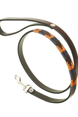 Pampeano Leather Dog Lead Audaz