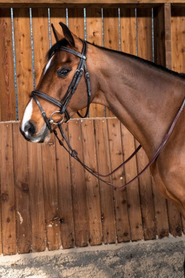 Dyon Classic Flash Noseband Bridle 'Working Collection' Dyon Classic Flash Noseband Bridle 'Working Collection'