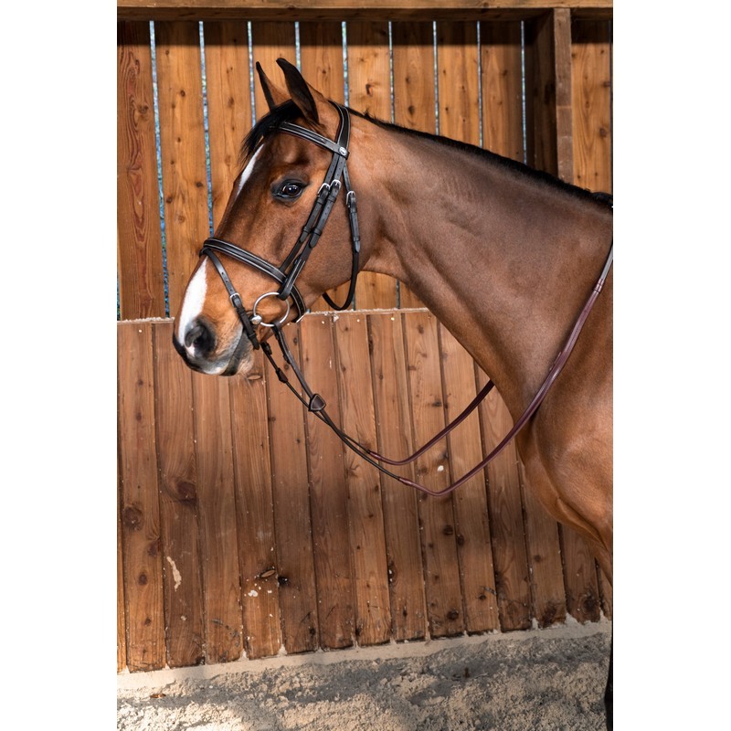 Dyon Classic Flash Noseband Bridle 'Working Collection' Dyon Classic Flash Noseband Bridle 'Working Collection'