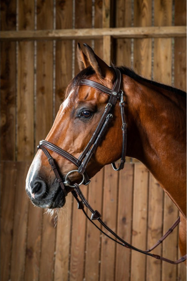 Dyon Flash Noseband Bridle 'Working Collection' Dyon Flash Noseband Bridle 'Working Collection'