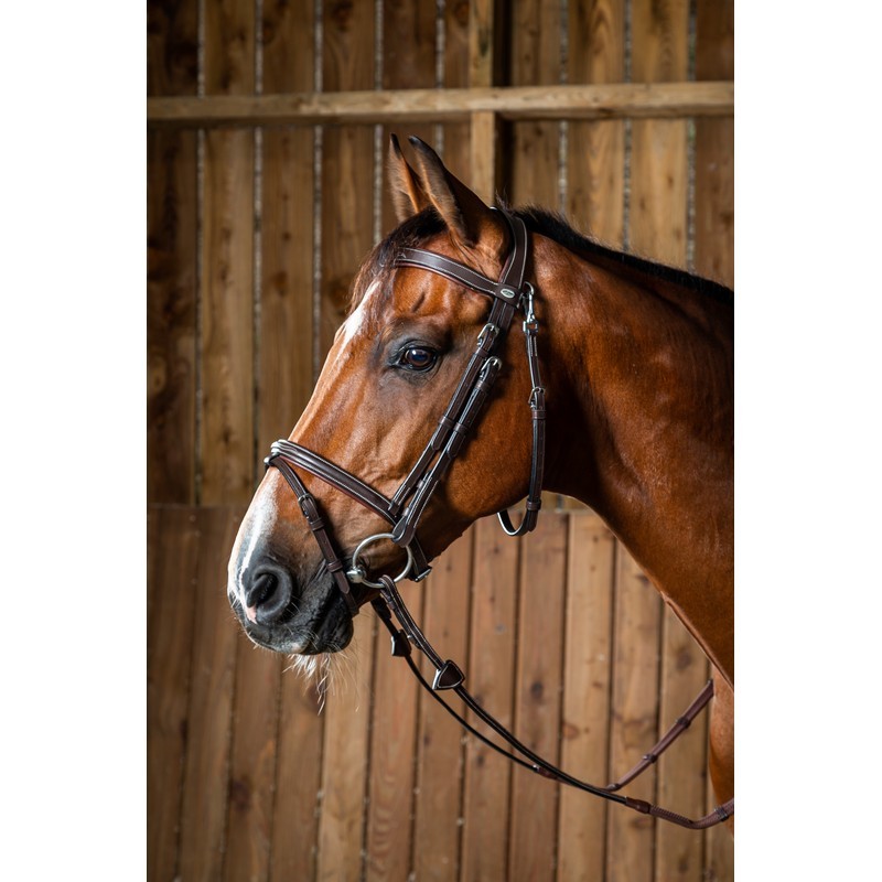 Dyon Flash Noseband Bridle 'Working Collection' Dyon Flash Noseband Bridle 'Working Collection'